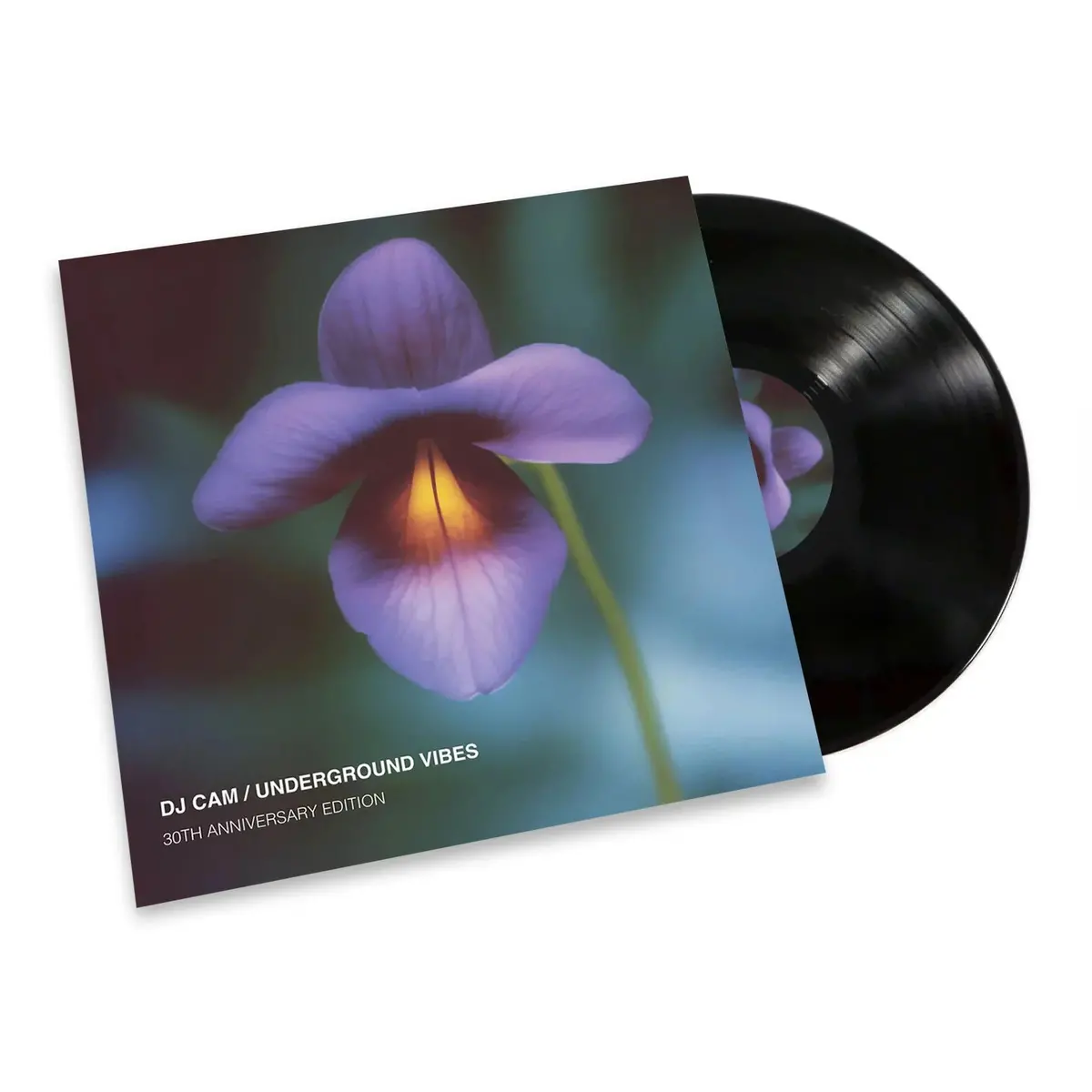 Underground Vibes (30Th Anniversary Vinyl) 1