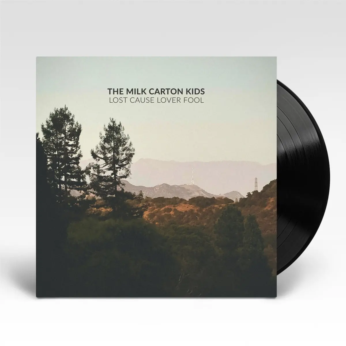 Lost Cause Lover Fool (Vinyl) 1