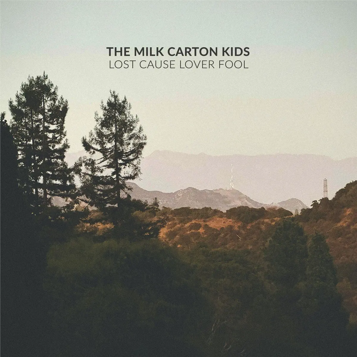 Lost Cause Lover Fool 1