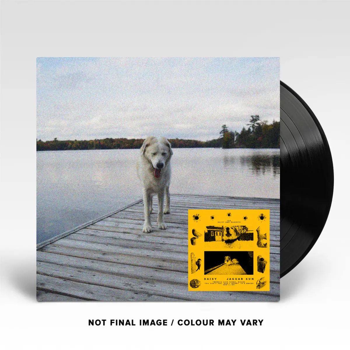 Daisy (Black / Yellow Swirl Vinyl) 1