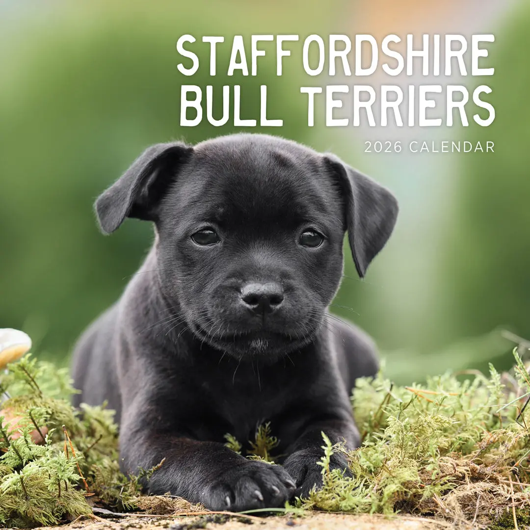 Paper Pocket Staffordshire Bull Terriers 2026 Calendar 1