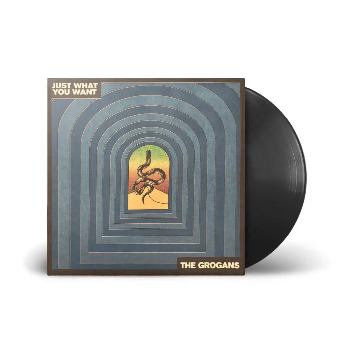 Just What You Want (Limited Edition Alternative Blue Cover Vinyl) 1