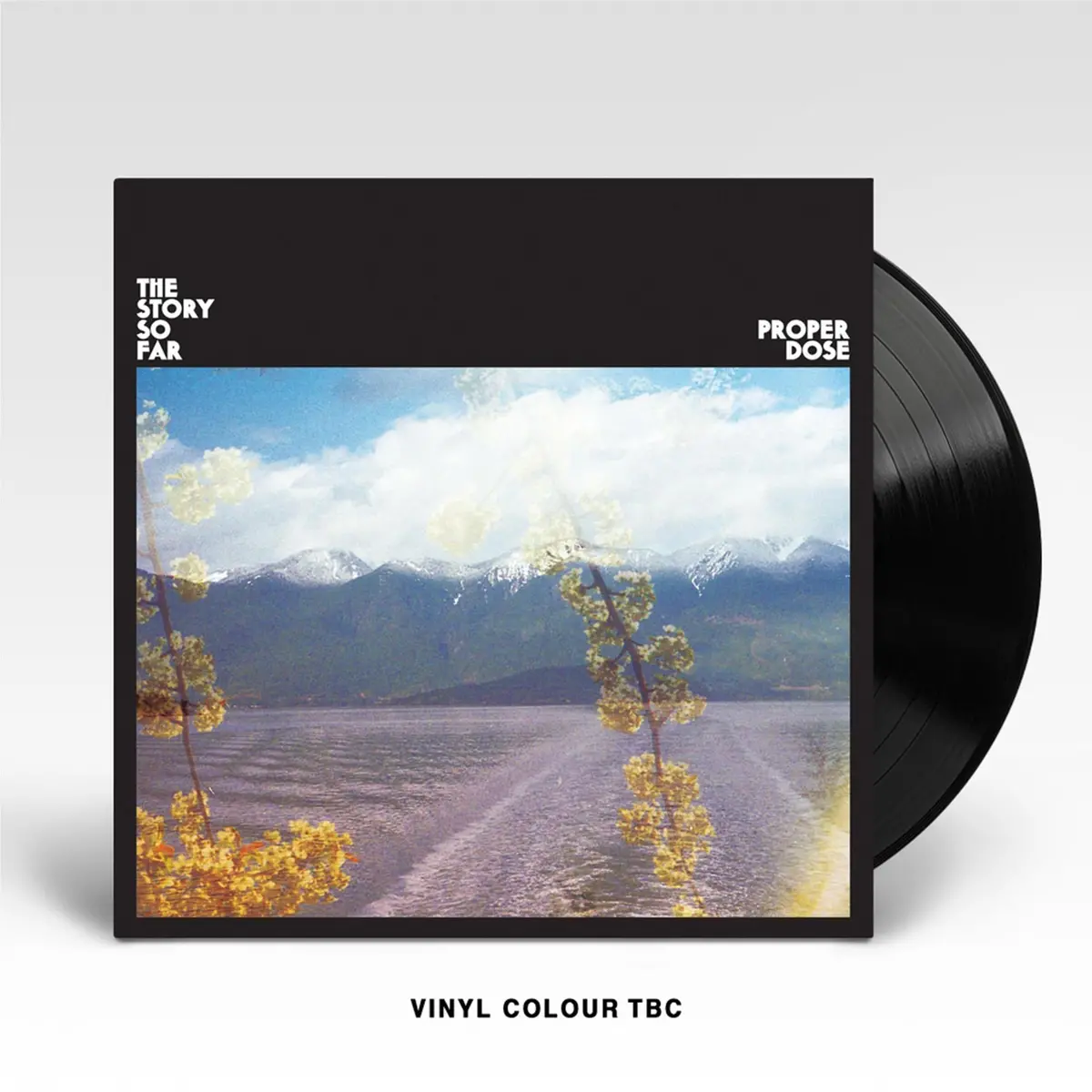 Proper Dose (S'mores Marble Vinyl Reissue) 1