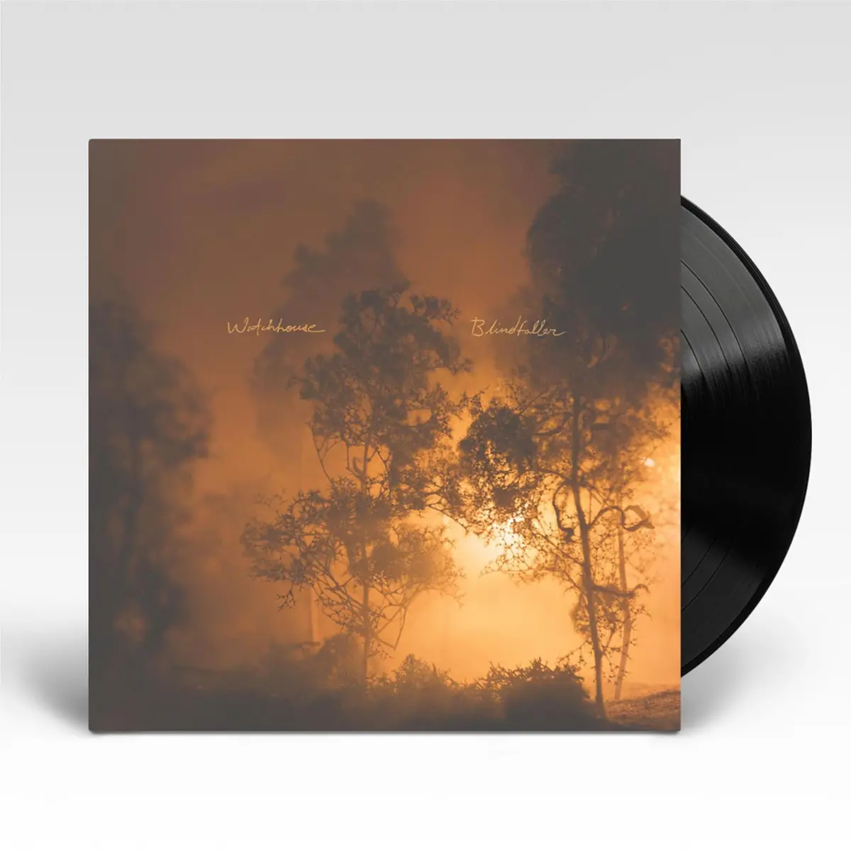 Blindfaller (Vinyl) 1