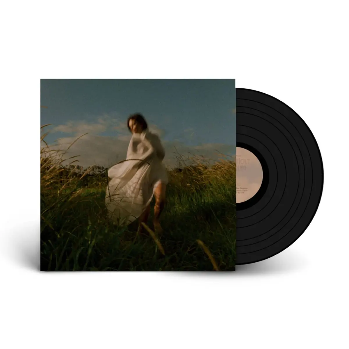 Some Holy Longing (Vinyl) 1