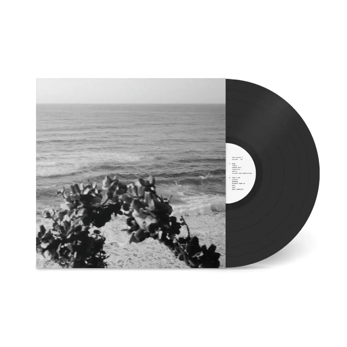 Blue Divers I (Expanded Edition) (Vinyl) 1