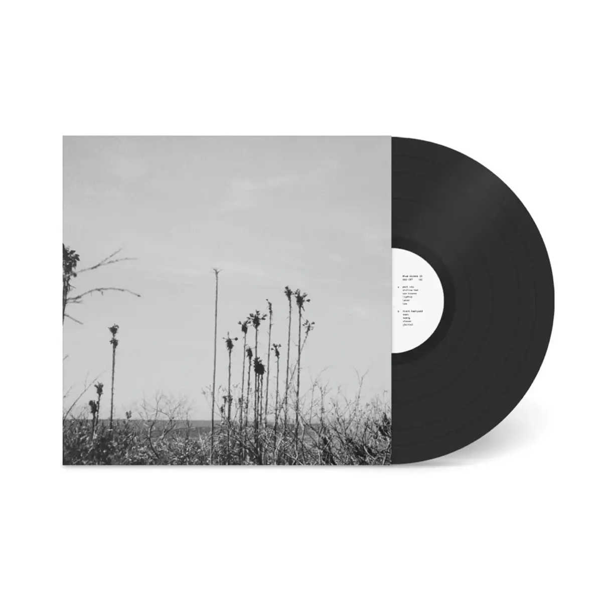 Blue Divers Ii (Vinyl) 1