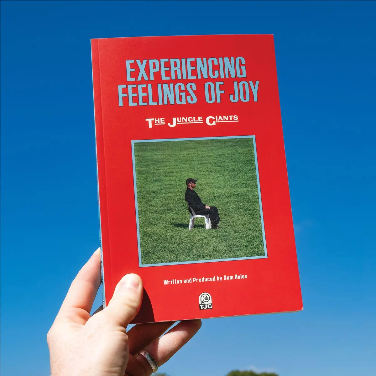 Experiencing Feelings Of Joy 1