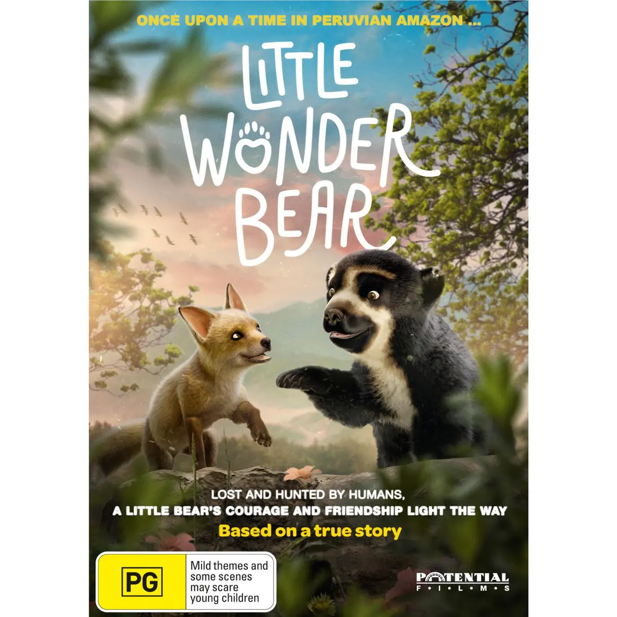 Little Wonder Bear 1