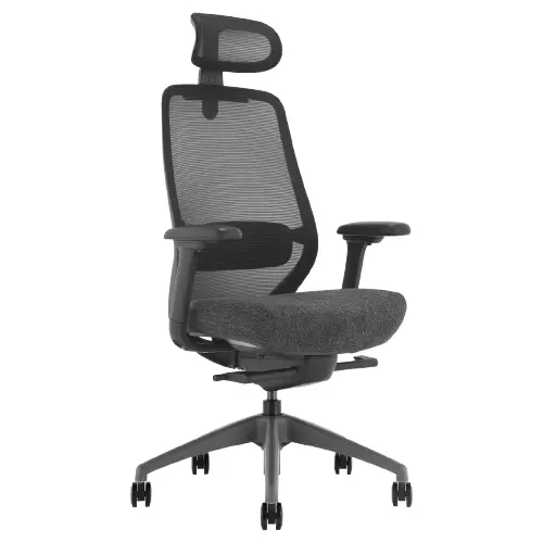 Desky Coilflex Ergonomic Office Chair - Black / Headrest 1