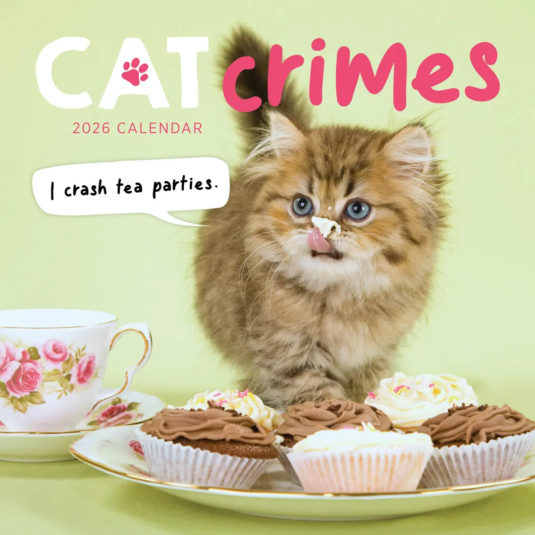 Paper Pocket Cat Crimes 2026 Calendar 1