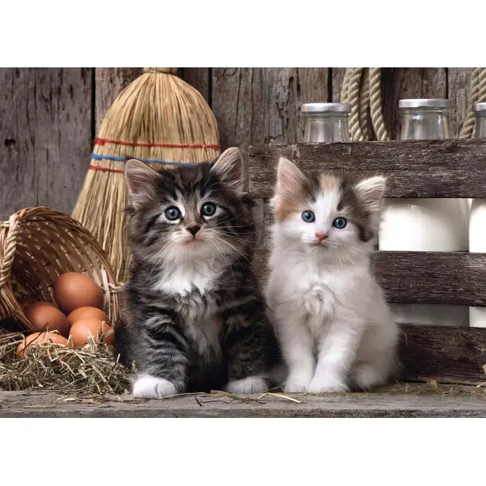 Clementoni 1000-Pieces Lovely Kittens 1