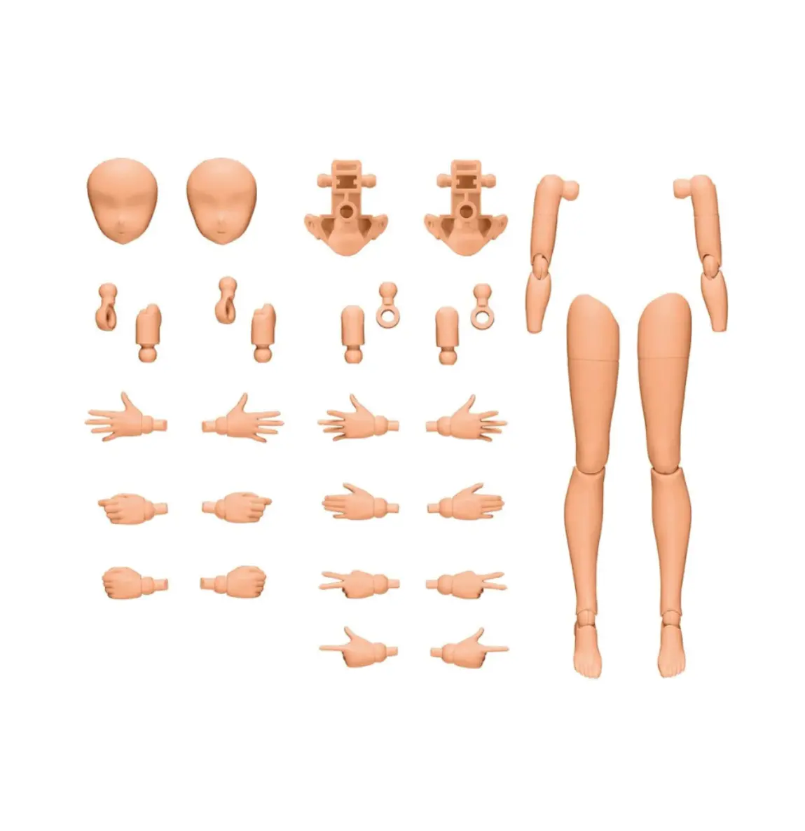 Bandai 30Ms Option Body Parts Arm Parts & Leg Parts [Color C] 1