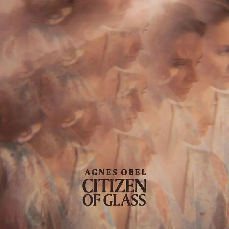 Citizen Of Glass 1