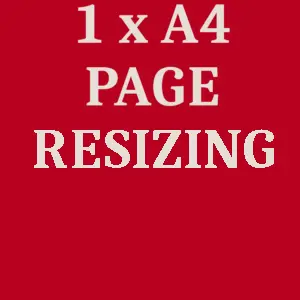 Standard Image Resize 1
