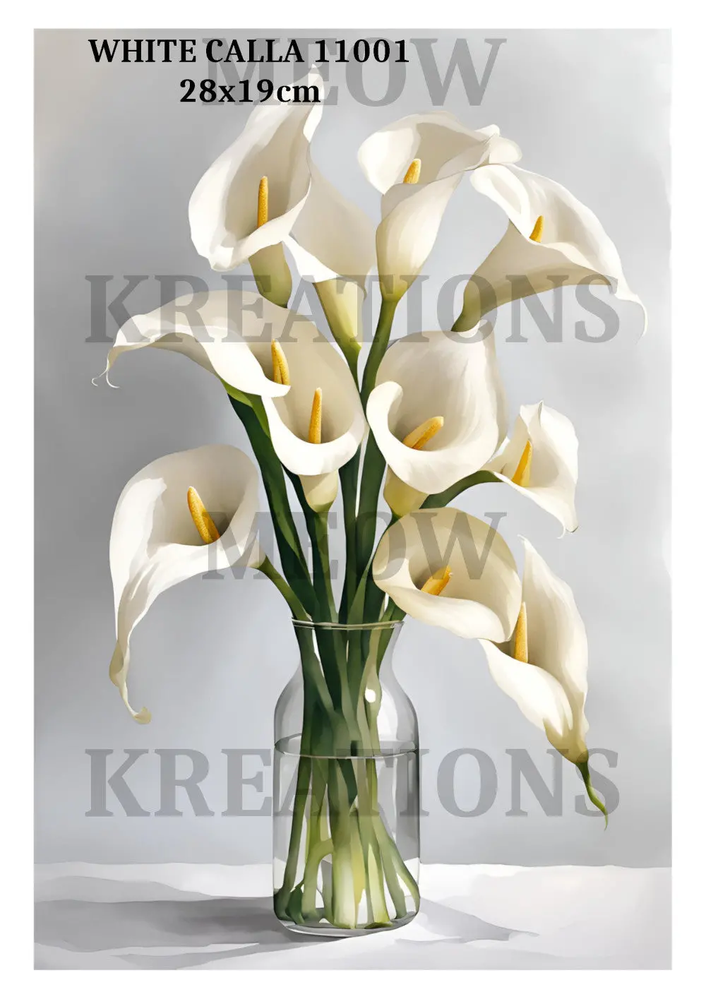 White Calla 11001 1
