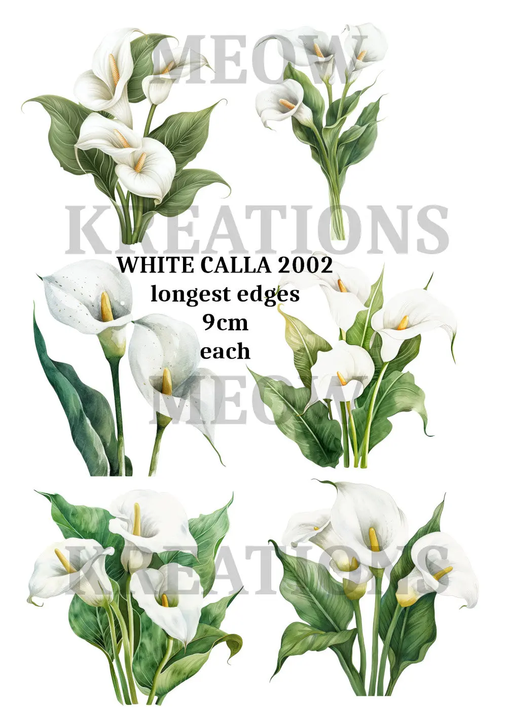 White Calla 2002 1