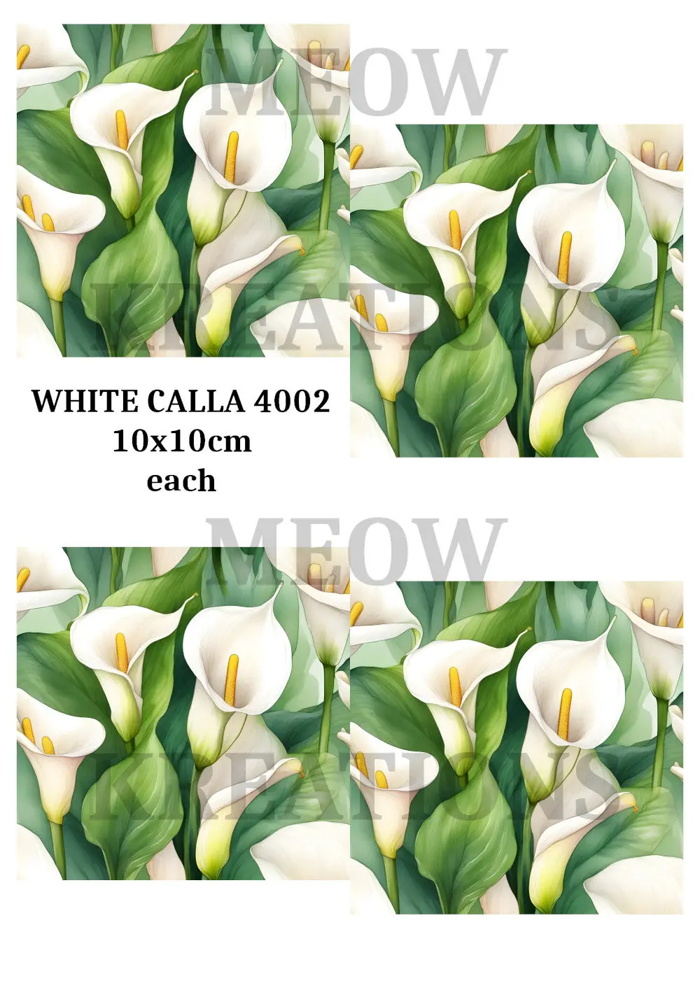 White Calla 4002 1