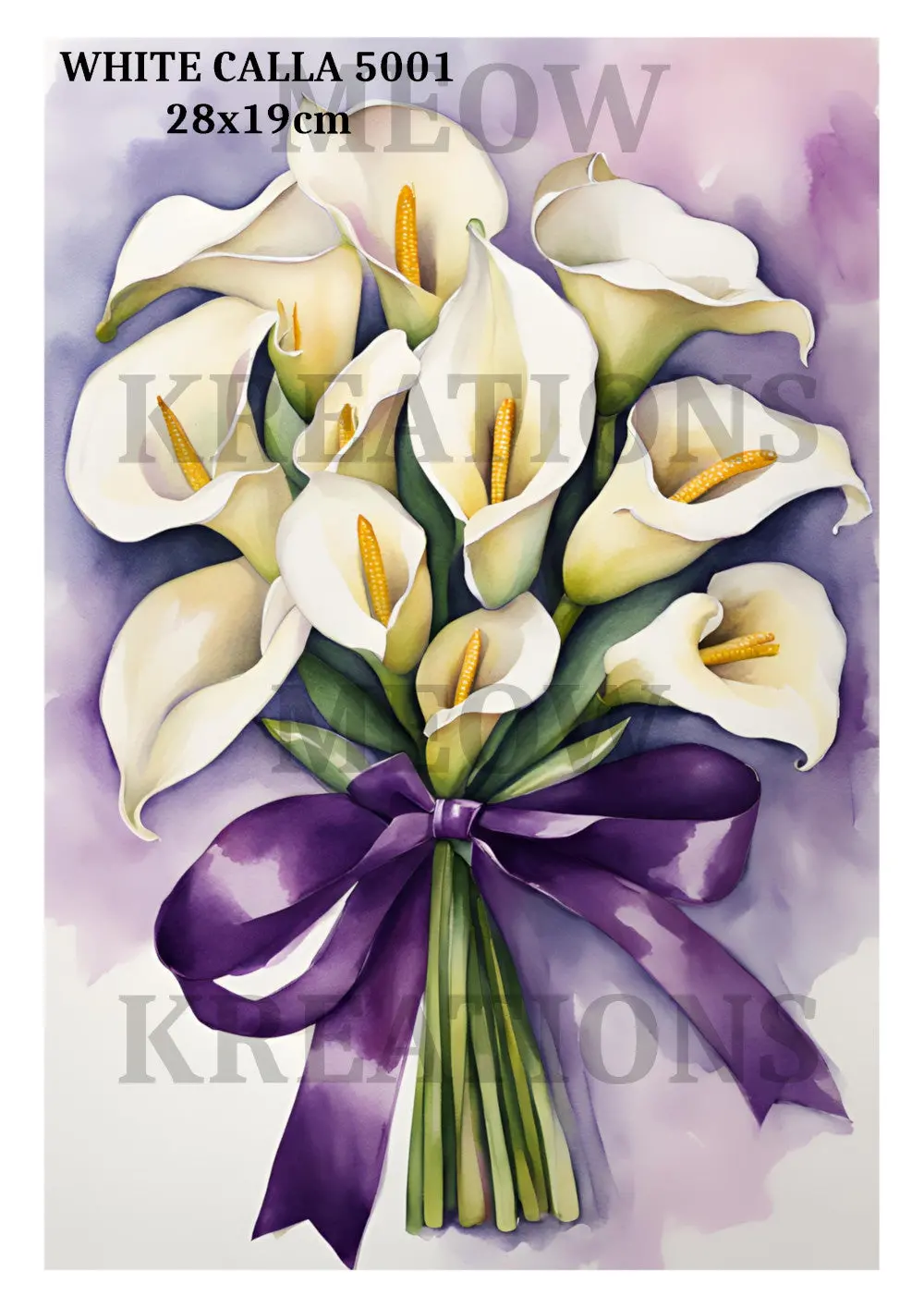 White Calla 5001 1