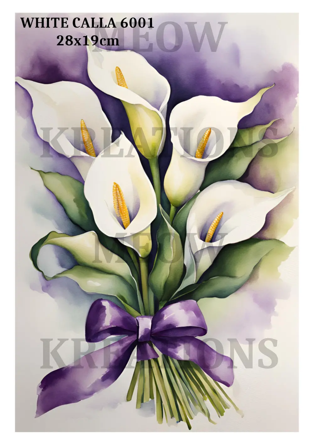 White Calla 6001 1