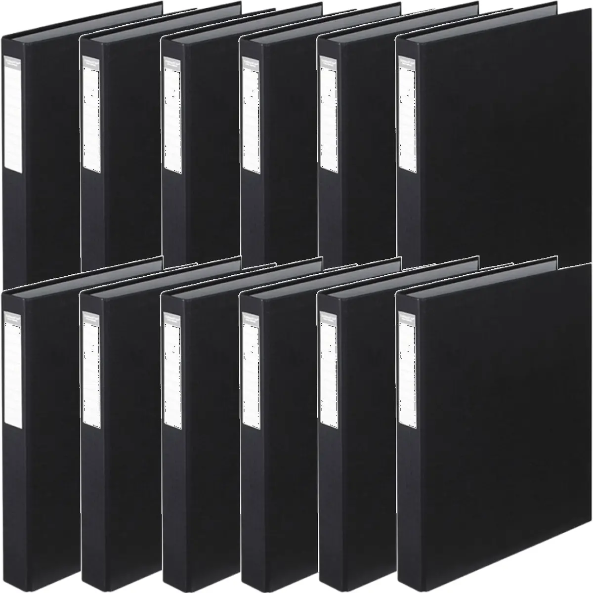 Colourhide Ring Binder Pe 2D 25Mm A4 Black Box 12 1