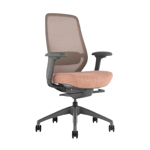 Desky Coilflex Ergonomic Office Chair - Peach/Grey / No Headrest 1