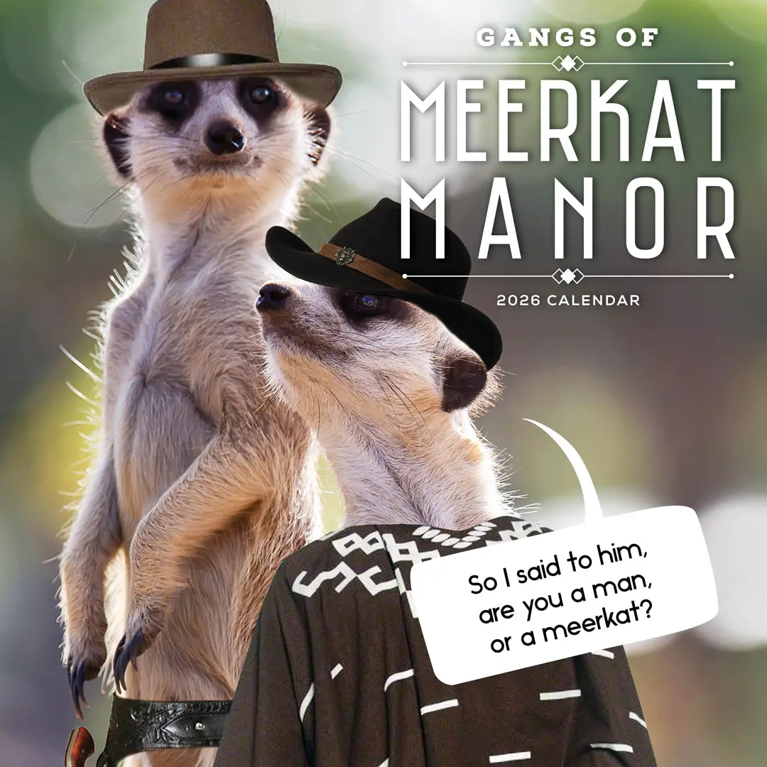 Paper Pocket Gangs Of Meerkat Manor 2026 Calendar 1