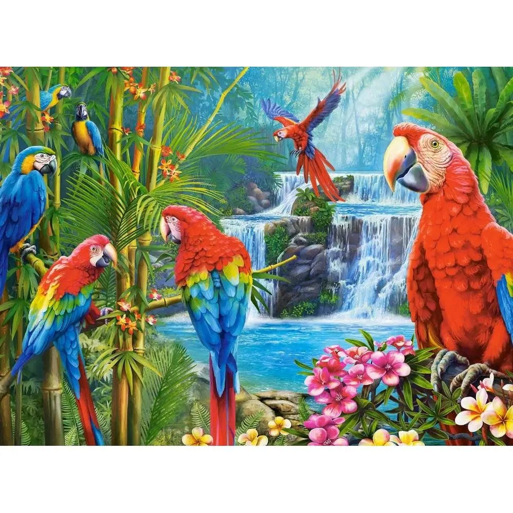Castorland 2000-Pieces Parrot Meeting Puzzle 2