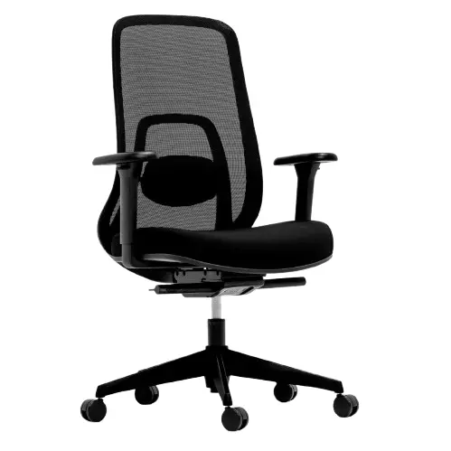 Desky Regal Mesh Office Chair - Carbon Black / No Headrest 1