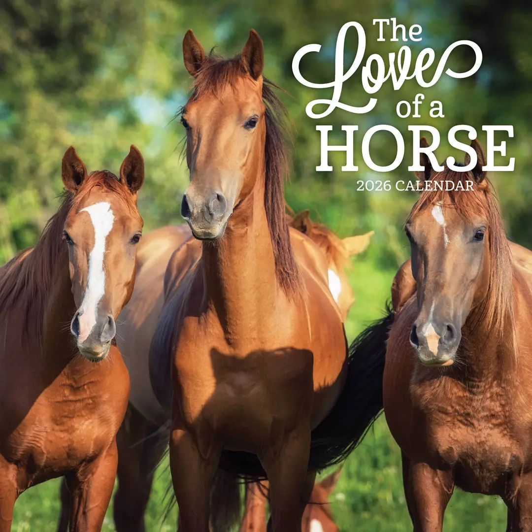 Paper Pocket The Love Of A Horse 2026 Calendar 1