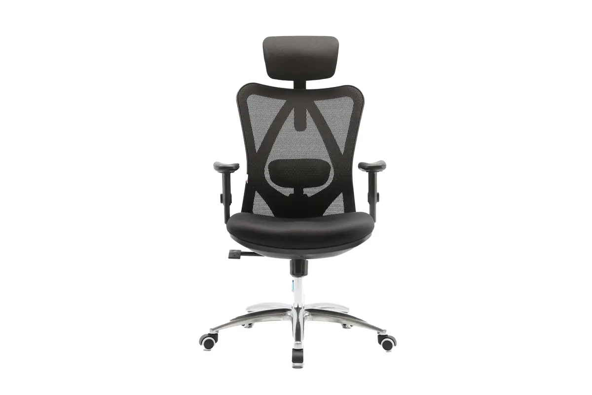 Sihoo M18 Ergonomics Task Office Chair (Black) 1