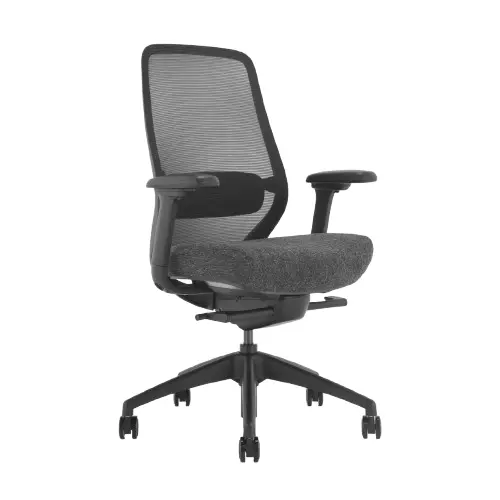 Desky Coilflex Ergonomic Office Chair - Black / No Headrest 1