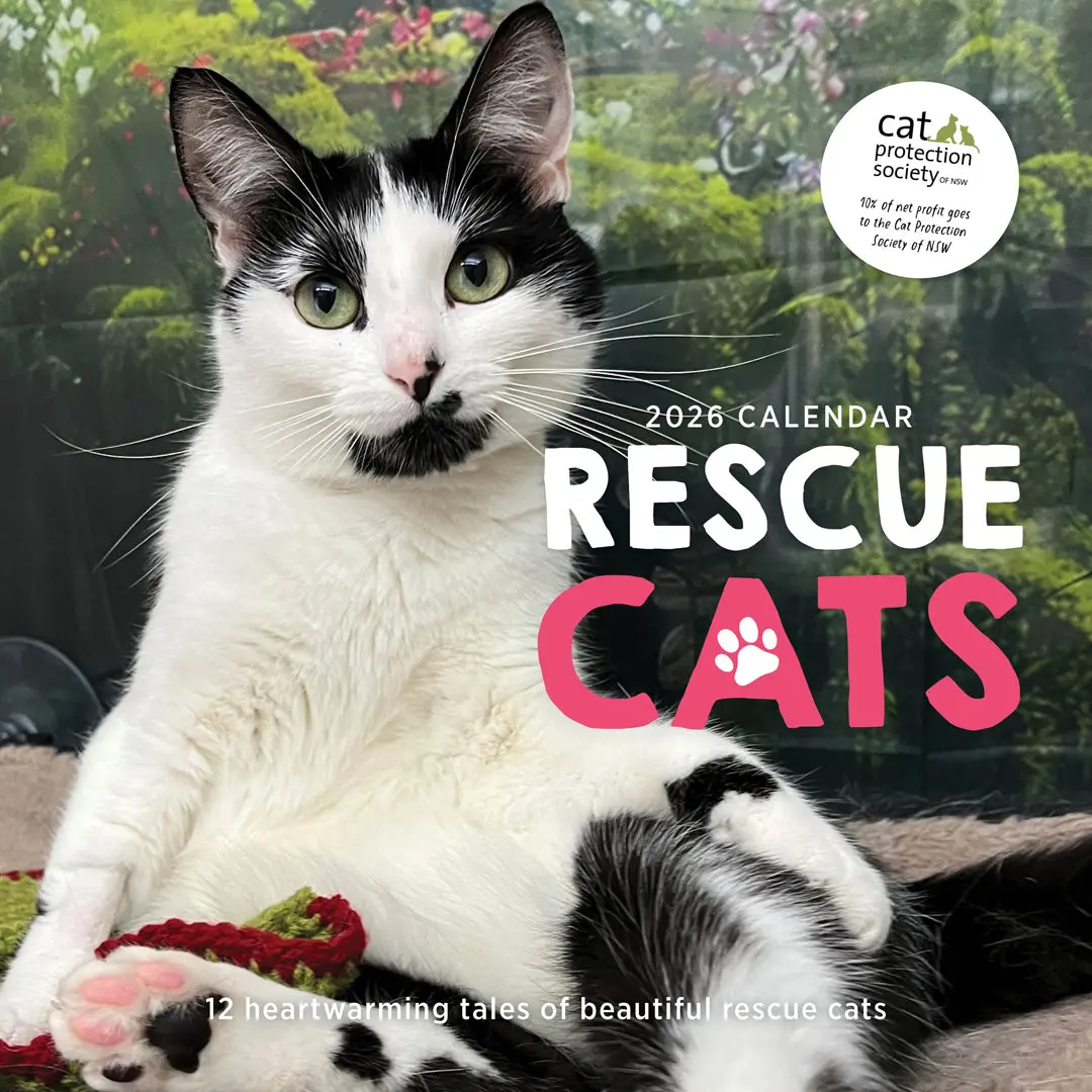 Paper Pocket Rescue Cats 2026 Calendar 1