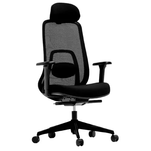 Desky Regal Mesh Office Chair - Carbon Black / Headrest 1