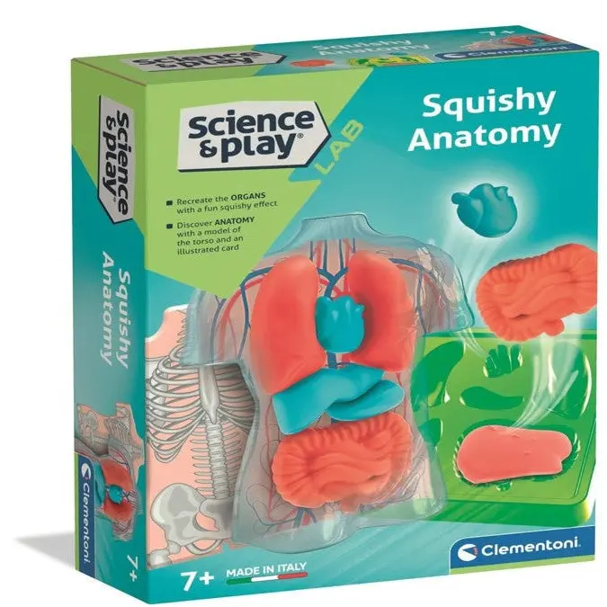 Clementoni Science & Play Squishy Anatomy Toy 1