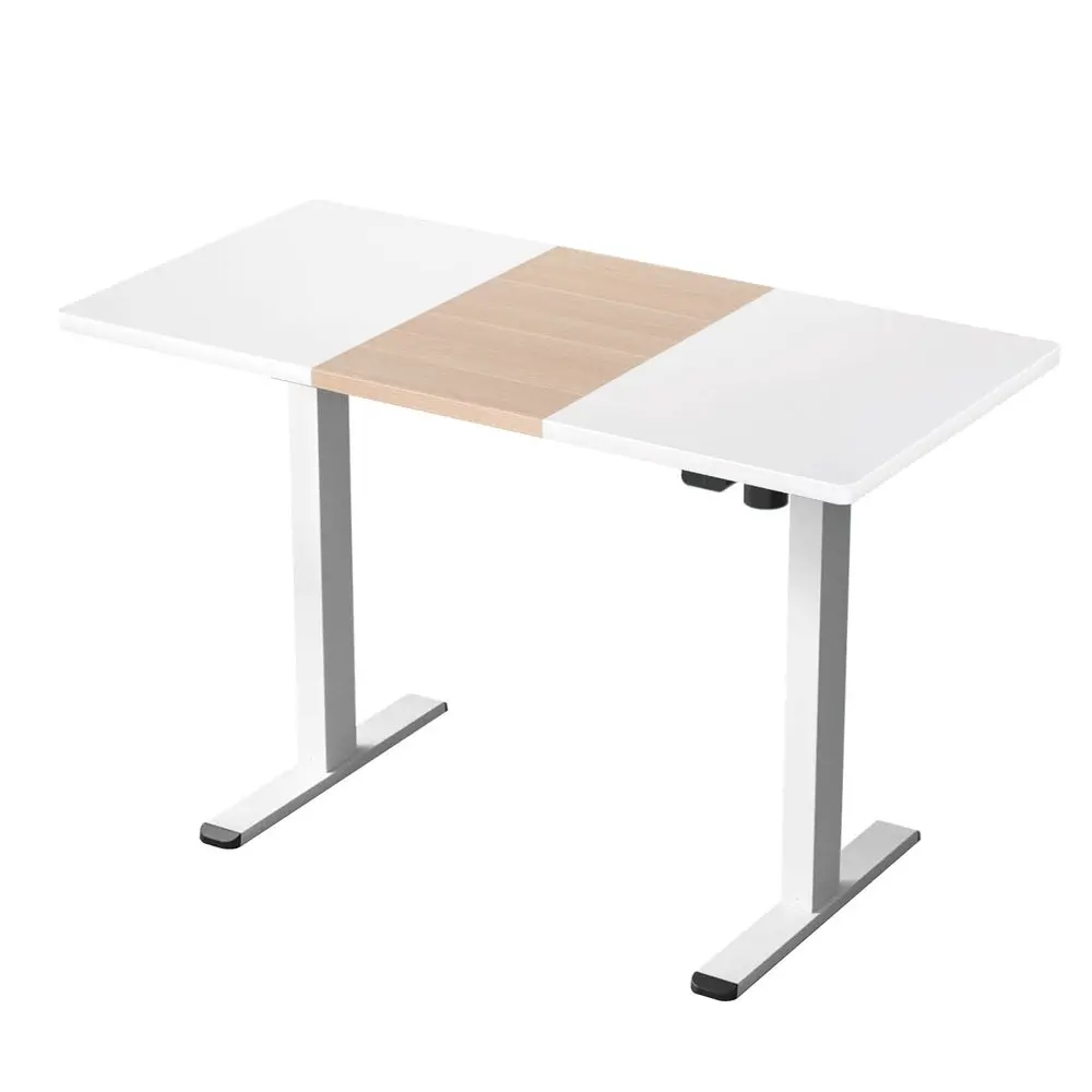 Artiss Standing Desk Motorised Sit Stand Desks 120Cm 1