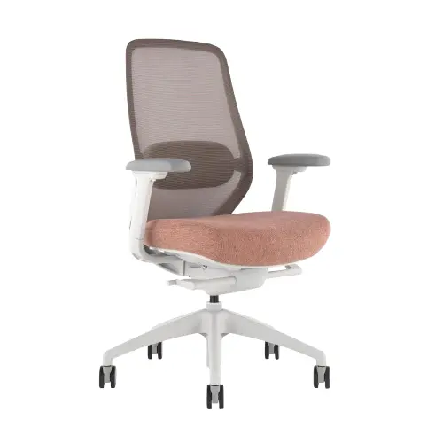 Desky Coilflex Ergonomic Office Chair - Peach / No Headrest 1