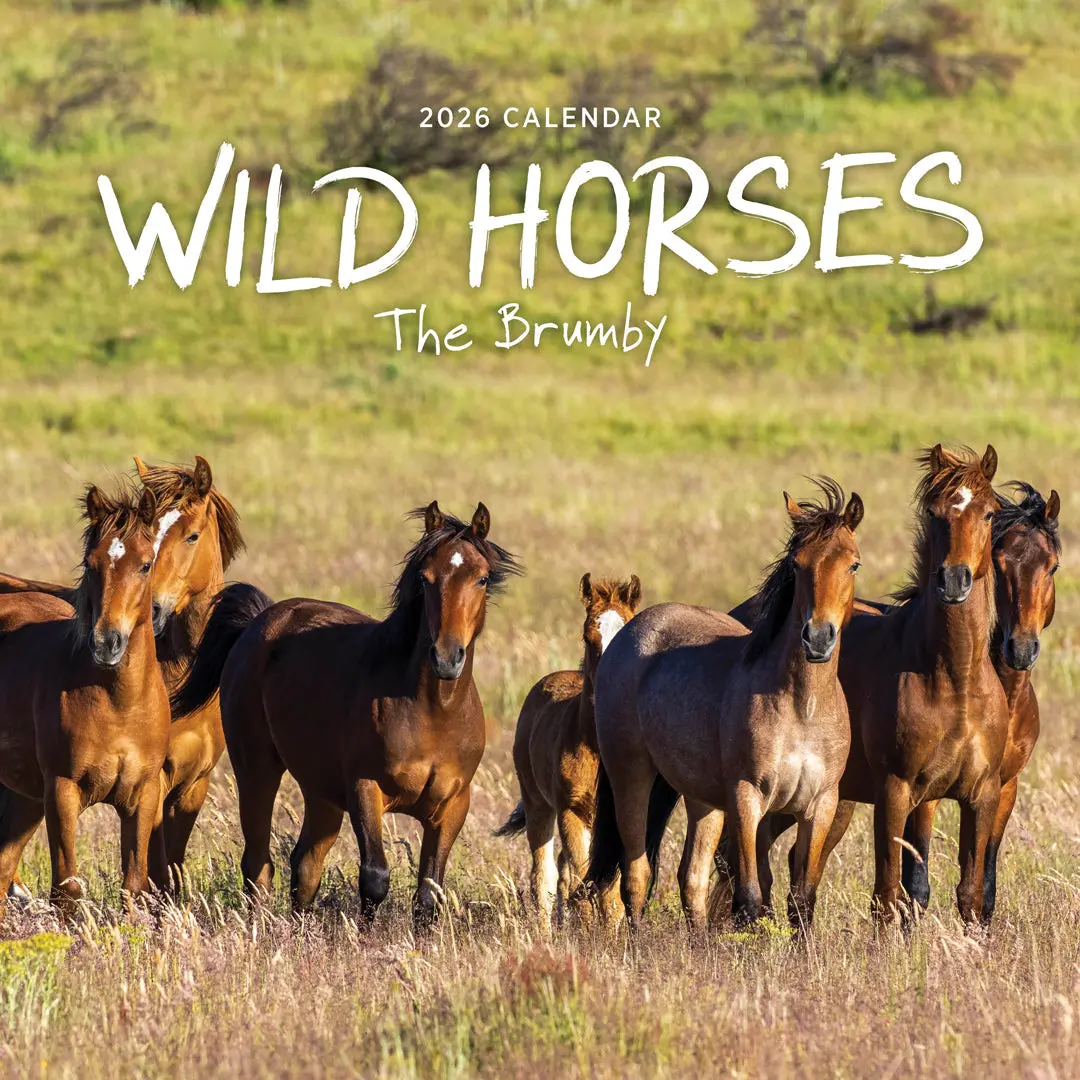Paper Pocket Our Australia Wild Horses 2026 Calendar 1