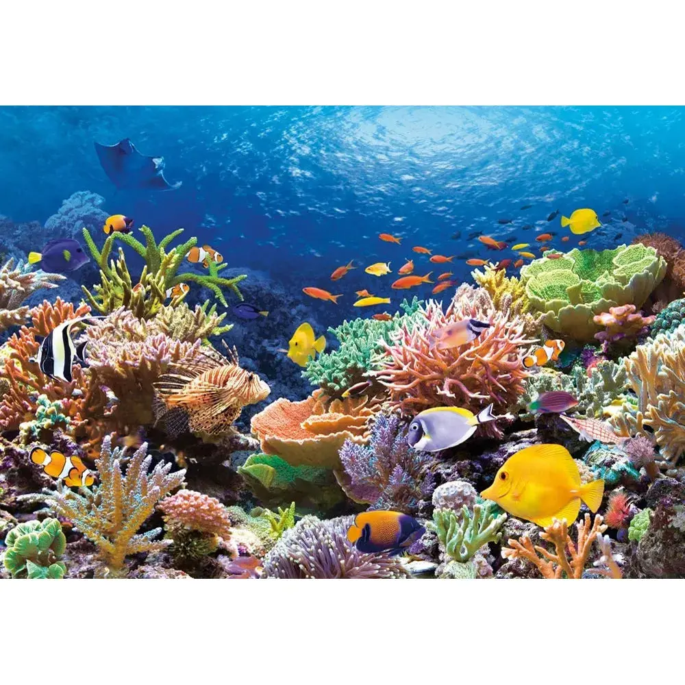Castorland 1000-Pieces Coral Reef Puzzle 2