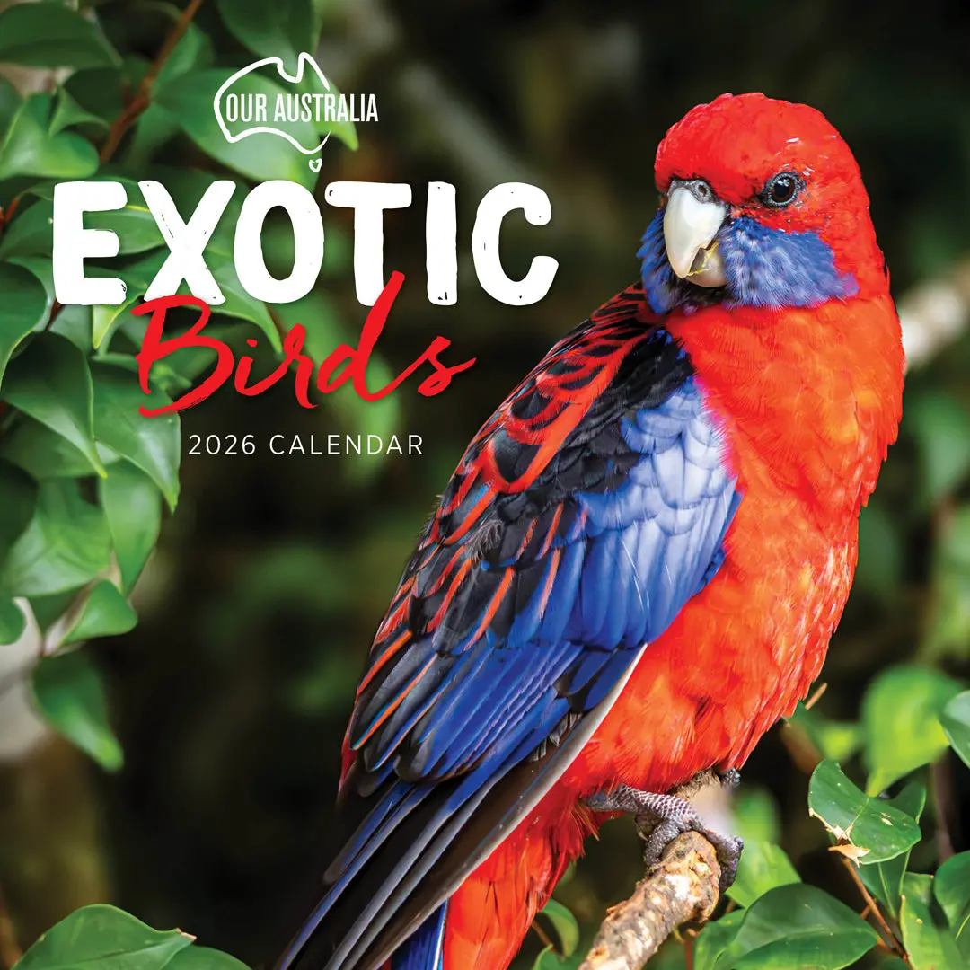 Paper Pocket Our Australia Exotic Birds 2026 Calendar 1