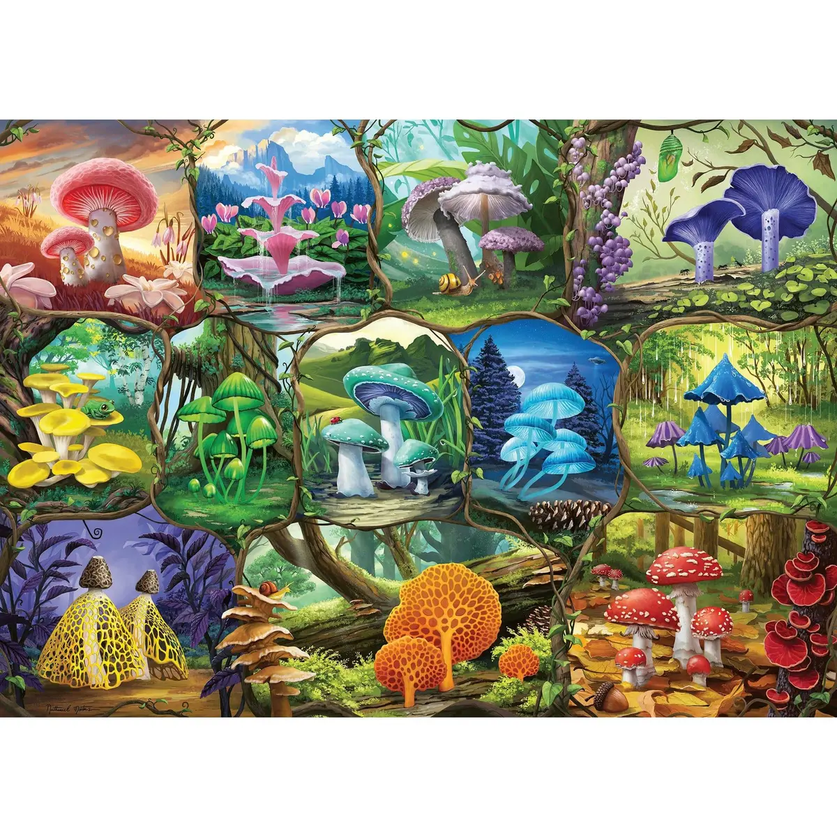 Ravensburger 1000Pc Beautiful Mushrooms Puzzle 2