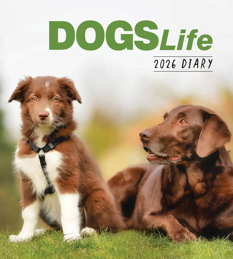 Paper Pocket Dogs Life 2026 Diary 1