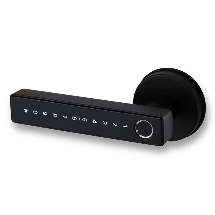 Auslock Novo Series N25 Door Handle Smart Lock (Black) 1