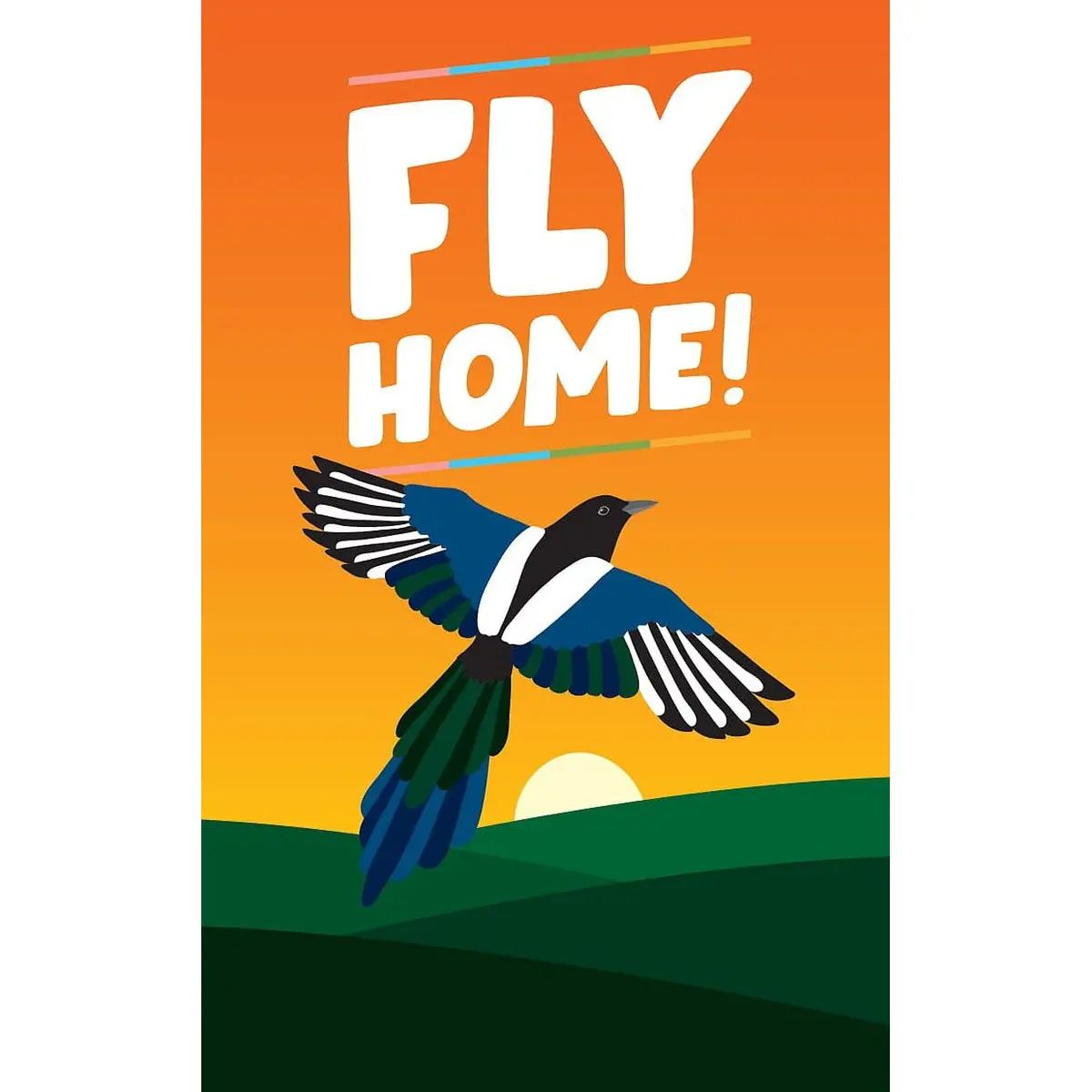Helvetiq Fly Home Game 1