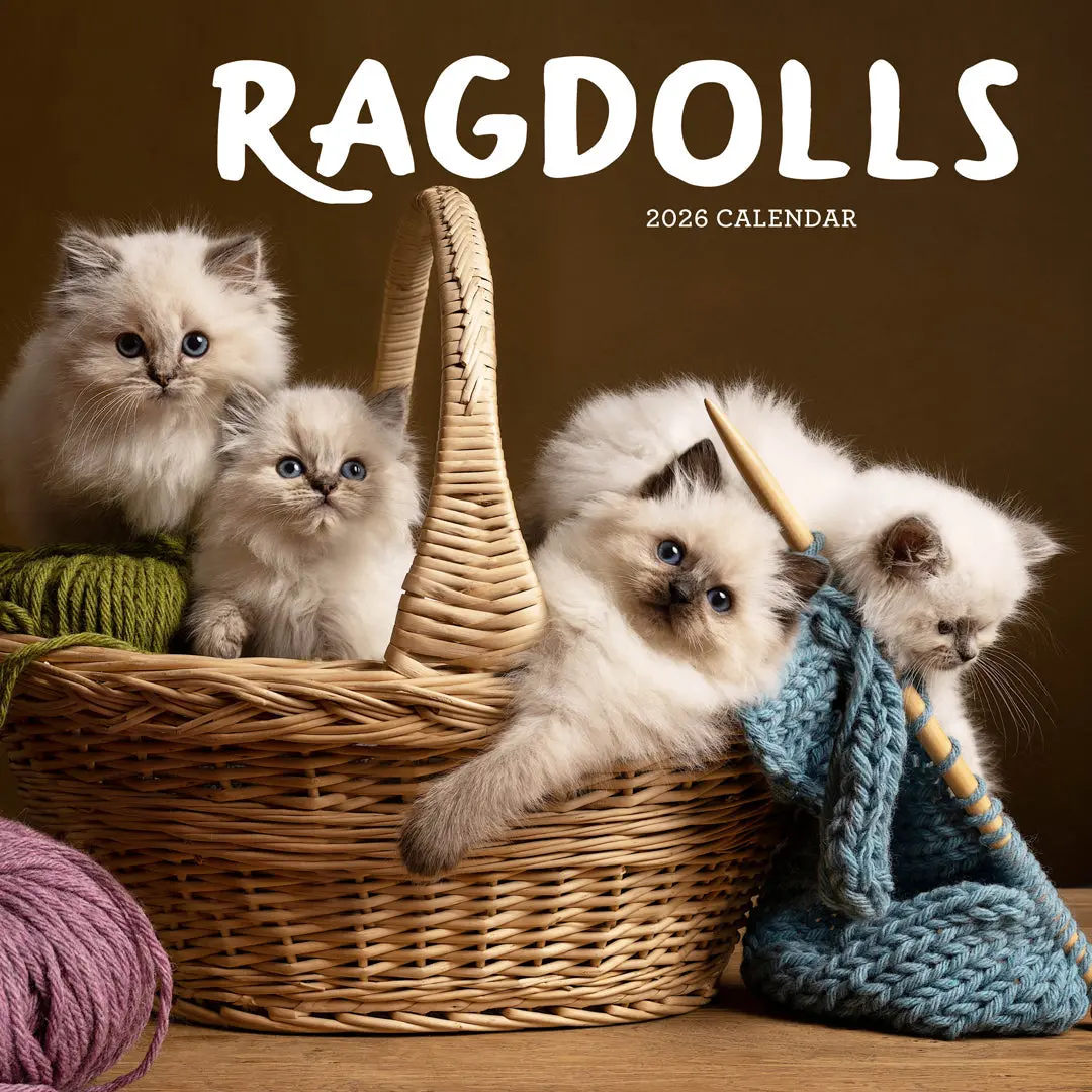 Paper Pocket Ragdolls 2026 Calendar 1