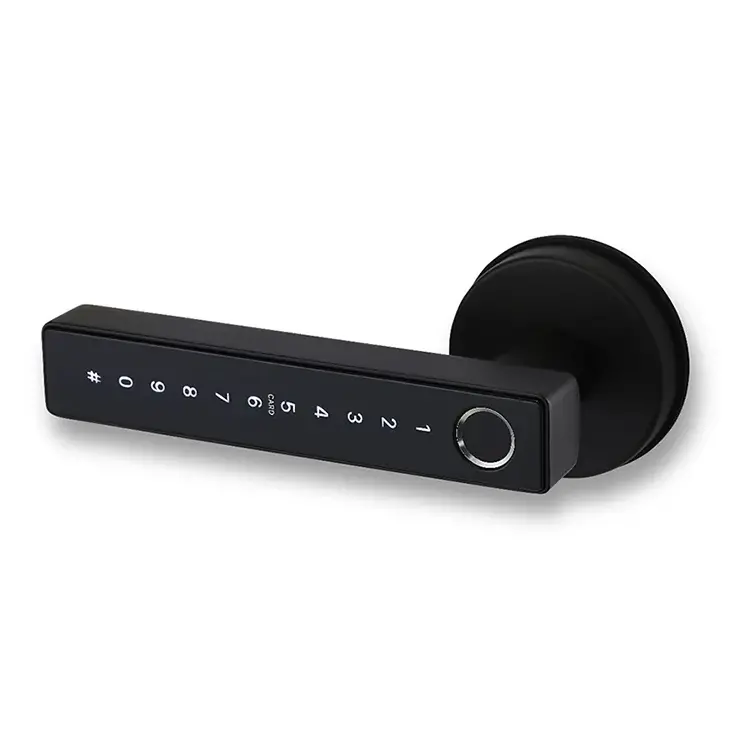 Auslock Novo Series N31b Door Handle Smart Lock (Black) 1