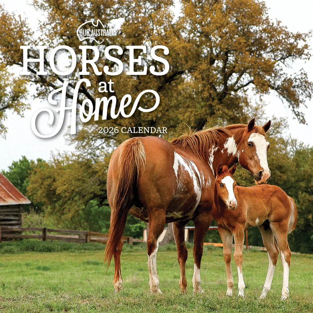 Paper Pocket Our Australia Horses At Home 2026 Calendar 1