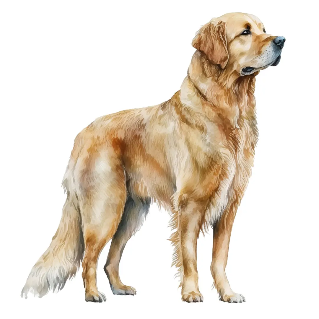 Paper Pocket Illustrated Dogs 2026 Calendar 2