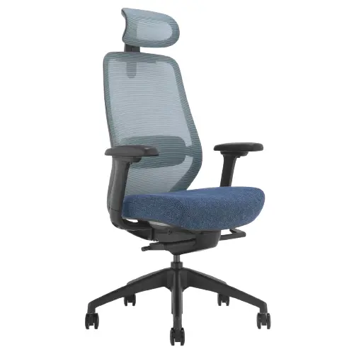 Desky Coilflex Ergonomic Office Chair - Blue / Headrest 1