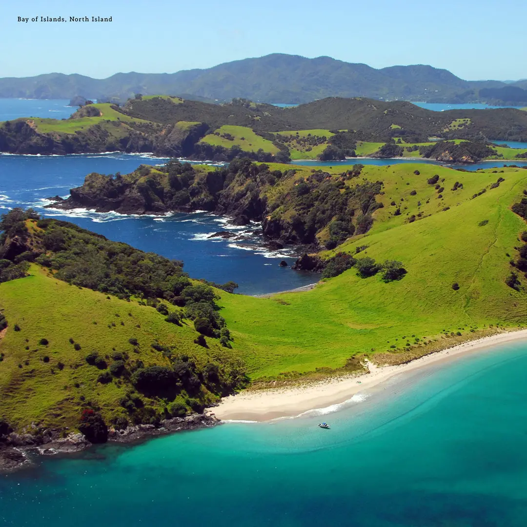 Paper Pocket New Zealand 2026 Calendar 2